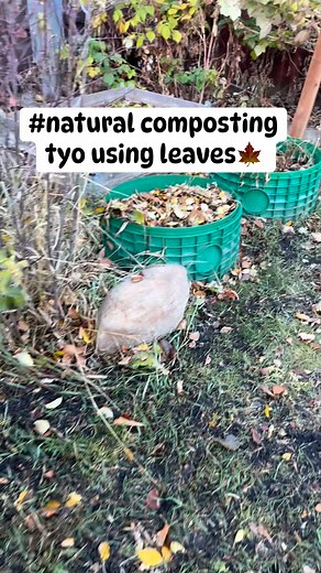 Tara natural composting tyo using 🍁 leaves … #gardening #garden | Dxter Dizn