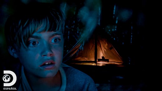 Esta aventura resultó demasiado aterradora para estos dos pequeños exploradores ​👻​🚶🏽‍♀️​🚶🏻‍♂️​ #BosquesEmbrujados Descubre más contenidos como este en #HBOMax Suscríbete ahora https://bit.ly/MAX-DiscoveryEsp | Discovery en Español