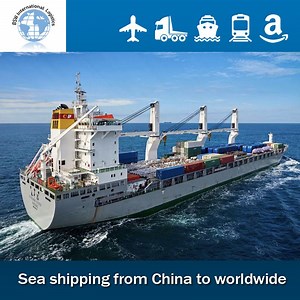 [Hot Item] Ocean Freight Forwarder Sea Logistics Shipping From China to Tunisia, La Goulette DDU/DAP/DDP