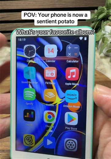 Load up all your music even has fm radio. #mp3 #music #mp3player #tiktokmademebuyit #musicplayer