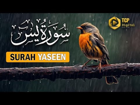 Surah Maryam-Mary Full Peaceful Recitation Peace of mind Relaxing without Ads with beautiful scenes
