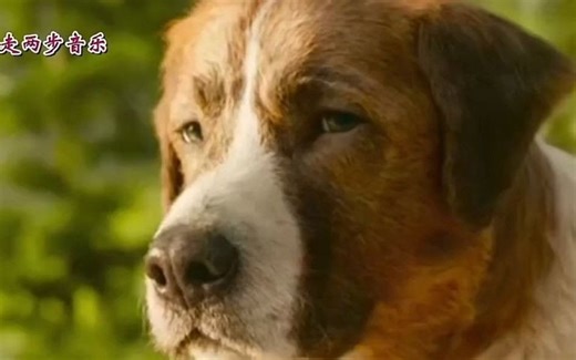 欧美怀旧伤感金曲《Bressanone》布列瑟农 被誉为全球最伤感歌曲