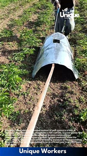 Innovative Pest Control: Metal Shield and Sprayer in Action