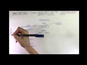 Filosofía de MARX (Español)