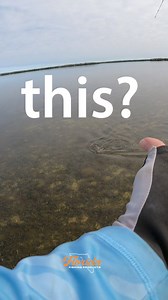 Take your angling to the next level  Upgrade today! | Florida Fishing Products | Facebook