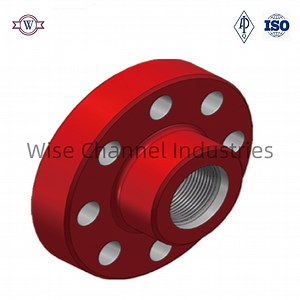 [Hot Item] API 6A Threaded Flange for Oil Field