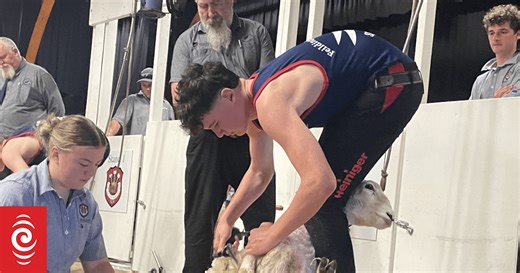 School's shearing and woolhandling contest attracts top talent