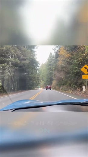 Epic Redwood Forest Drive: World's Tallest Trees & Stunning River Views! #shorts