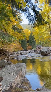 #fallcolors | Cascade Loop Scenic Highway