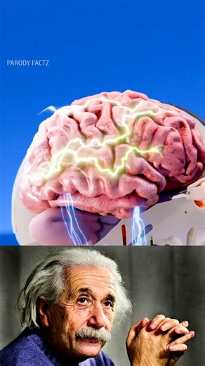Brain power 💪 | Parody Factz | #shortstory #viralshort #factz #viralparody #3danimation