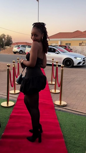 Exploring the TikTok Community in Botswana