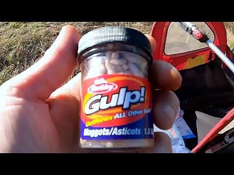 Fishing With Fake Maggots, Berkley Gulp Alive
