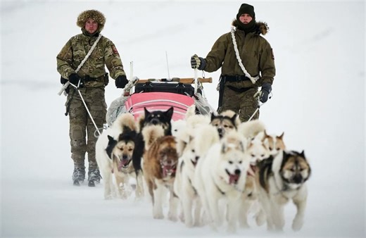 Sirius Dog Sled Patrol: H επίλεκτη μονάδα του Βασιλικού Ναυτικού της Δανίας που περιπολεί στους -50 °C και φτάνει εκεί που τα snowmobiles χαλάνε - ertnews.gr