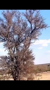 Actufinance.fr - Actualité financière on Reels