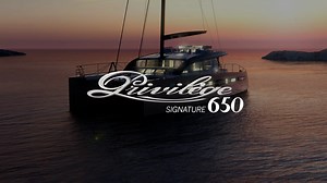 Privilege Catamaran Signature 650 preview