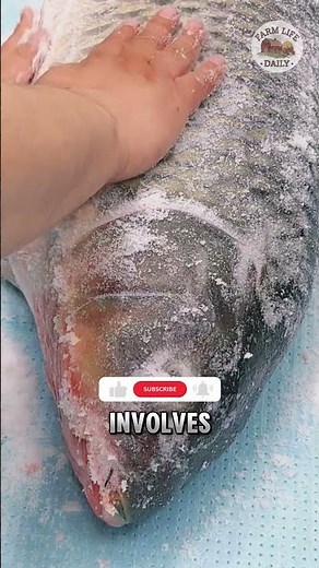 Gyotaku – The Unique Art of Fish Printing