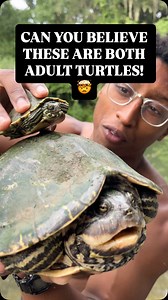 236K views · 73K reactions | I’ve been wanting to do a video of the...