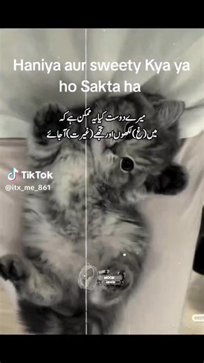 Anaiza princess (@cute.anaiza)’s videos with original sound - Anaiza princess