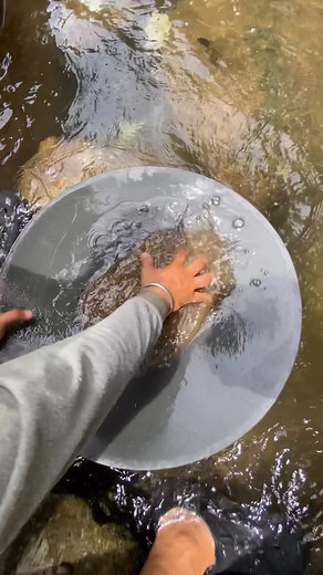 10K views · 613 reactions | gold prospecting 2025, finding gold in sand, gold prospecting for beginners | Anis Gold Prospecting | Facebook