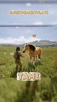 THIS GAME JUST GOT BETTER! 🐎 | Legend of Khiimori