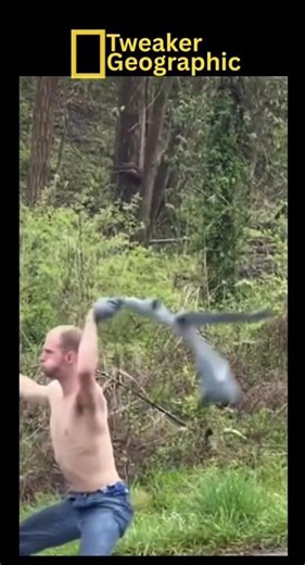 Tweaker Geographic-Episode 7: “Mating Dance”