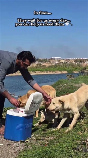 please 🙏 donate via Link in bio for your help please 🙏