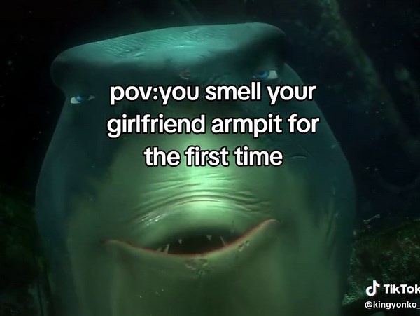 😭😭#gf#couple#findingnemo#fish#armpit | gf