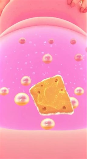 science for kids: stomach