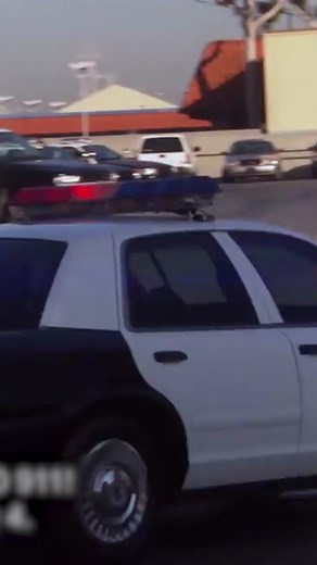 Trudy Wiegel's Adventures on Reno 911