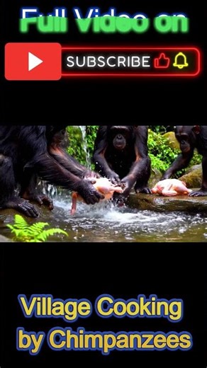Chimpanzees Cooking 🐵🔥 Grilled Chicken in the Mountains | Viral Village BBQ🌄