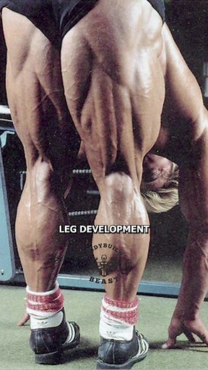 The Importance of Lifting Shoes for Squatting | Tom Plat's Guide