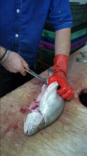 How to Remove Fish Bones and Make Perfect Boneless Fillets