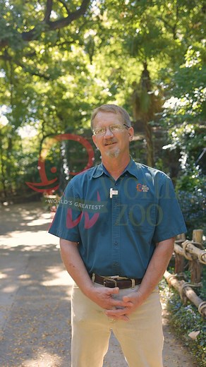 Conservation highlight: High Andean Flamingo Project🦩🌎 The Fort Worth Zoo proudly participates in the High Andean Flamingo Project in Bolivia. This incredible project is dedicated to research of the wild populations of Andean and James’s flamingo species, and breeding and rearing a population in managed care to serve as a hedge against extinction.⛰️ With your help, we’ll be able to enhance this conservation effort by utilizing drone technology to better track this species and monitor their pop