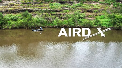 2.7K views · 33 reactions | A new standard in affordable performance,...