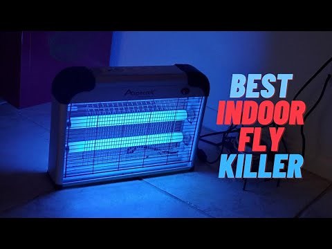 Best Indoor Fly Killer | Indoor Fly Killer (Reviews & Buying Guide)
