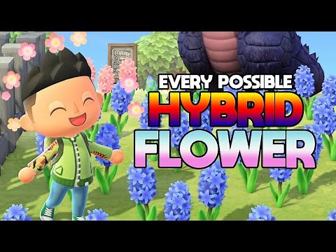 ALL HYBRID FLOWERS in Animal Crossing New Horizons and HOW TO GET THEM! | Hybrid Breeding Guide