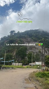 La ruta de mi Tingo Maria 😎💚🌴. #TingoMaria #turismo #selva #Ruta #viajes #travel #peru #Huanuco #fypシ #viralreelsシ | Conoce Tingo María
