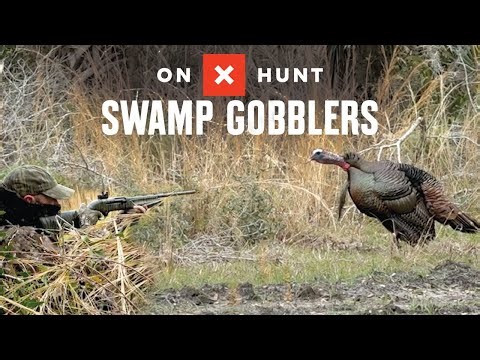 Florida Turkey Hunting | How To Rebound From A Miss | Doubling Up On Osceola Gobblers| Loud Drumming