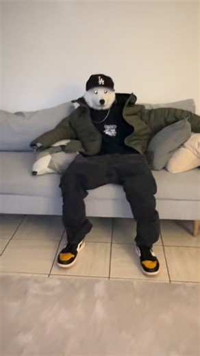 Meet Zawg and Shlawg, the Most Popular Dog on TikTok!