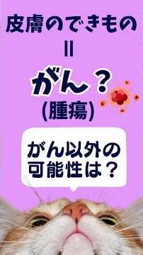 [Skin growths = tumors?] [Dogs, cats, animal hospitals, pets, veterinarians, pet animal nurses]