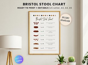 Editable Bristol Stool Chart: Gut Health Poster (PDF, Canva) - Etsy