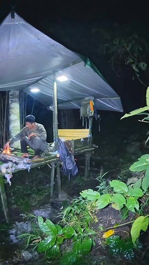 97K views · 2.6K reactions | Night time in the forest | Long do ok | Facebook