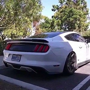 211 shares · 64 comments | That cammed idle music is heavenly! Video via dezl50 on IG | Speedlist-Ford | Facebook