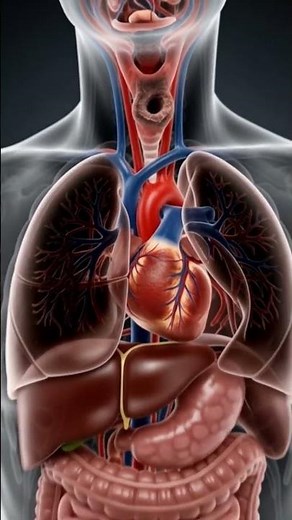 Smoking Destroys Your Body from the Inside 😨