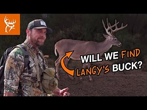 BOW HUNTING on the RIO | Willie the quail hunter | Buck Commander