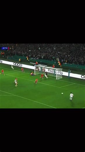 Exploring Palma: A Football Lover's Dream in Honduras