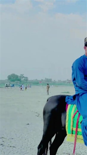 Explore the Dynamics of Marwat, Bannu, and Battan