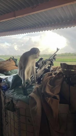 10K views · 409 reactions | Good morning… | Goons Up | Facebook