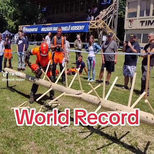 Pro logger fastest delimbing, 30 cuts in 16 seconds #logging #logger #loggingvideos