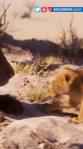 5.5K views · 38 reactions | Amazing improvement of Real-time Hair and Fur in Unity. That investment in WETA Digital is paying off!! See full review in this video: https://www.youtube.com/watch?v=daPJWrgLJPA ~ #3d #hair #fur #simulation #unity3d #reels #wetadigital | Art of Solomon W. Jagwe | Facebook